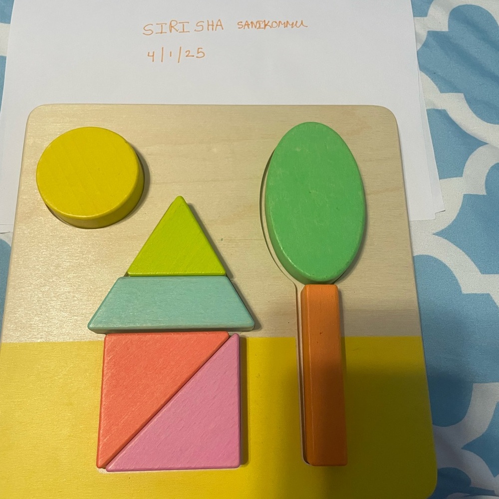 Lovevery puzzle double sided wooden puzzle